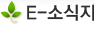 E-소식지